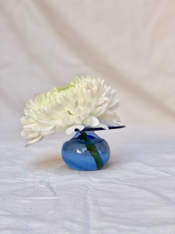 CD Light Blue