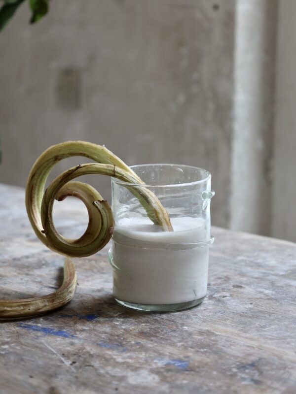 serpentin-petit-transparent-drinking-glass
