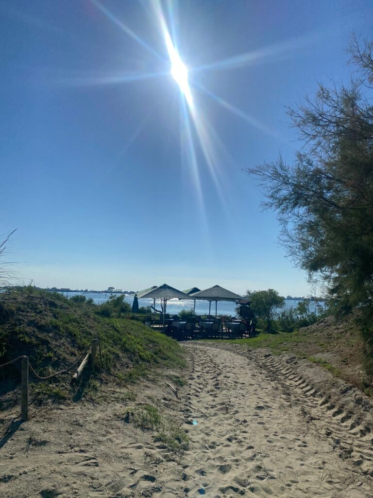 provence-beach-path-leading-to-ocean-with-umbrellas