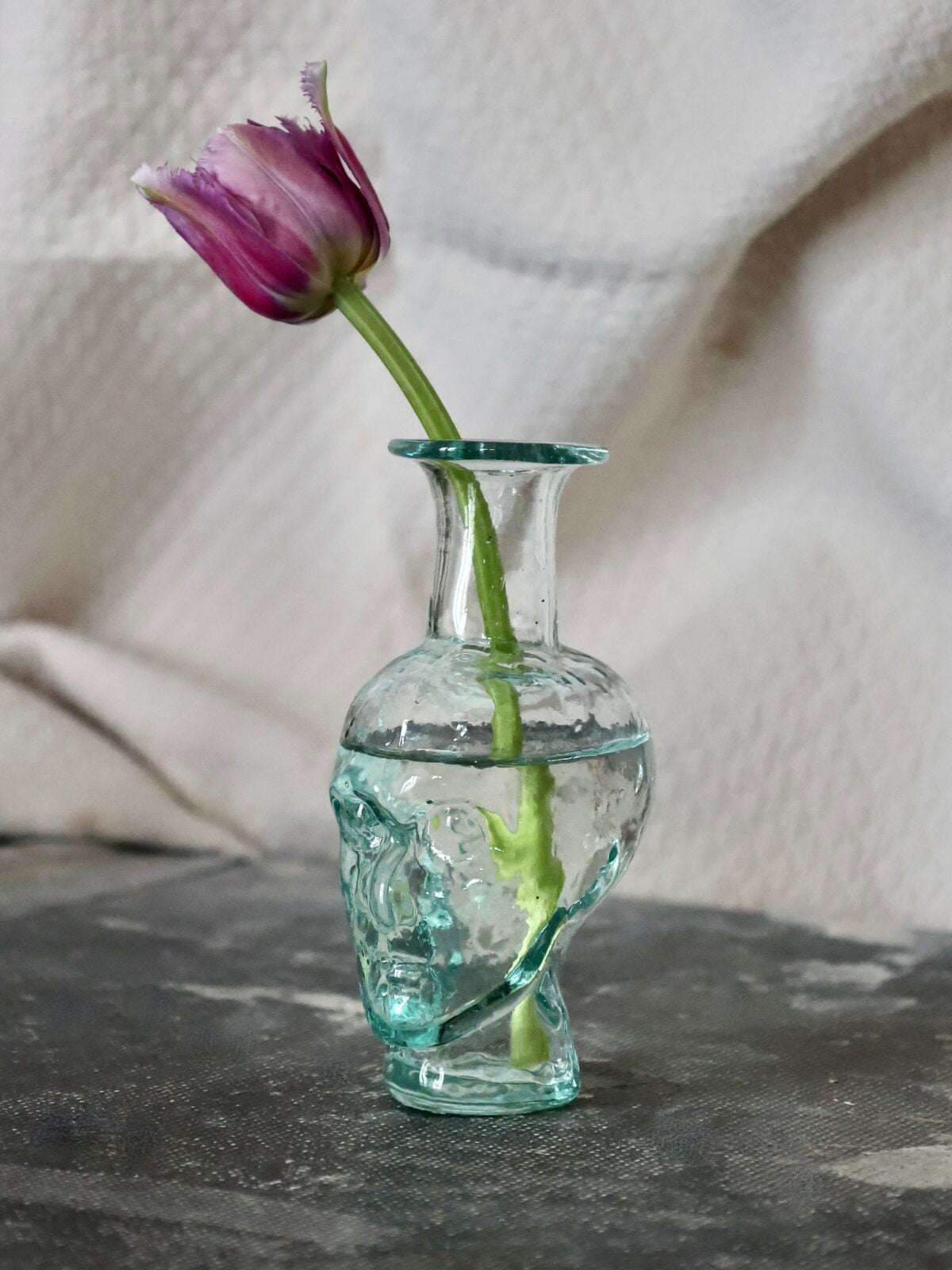 the-philosopher-bud-vase-transparent-