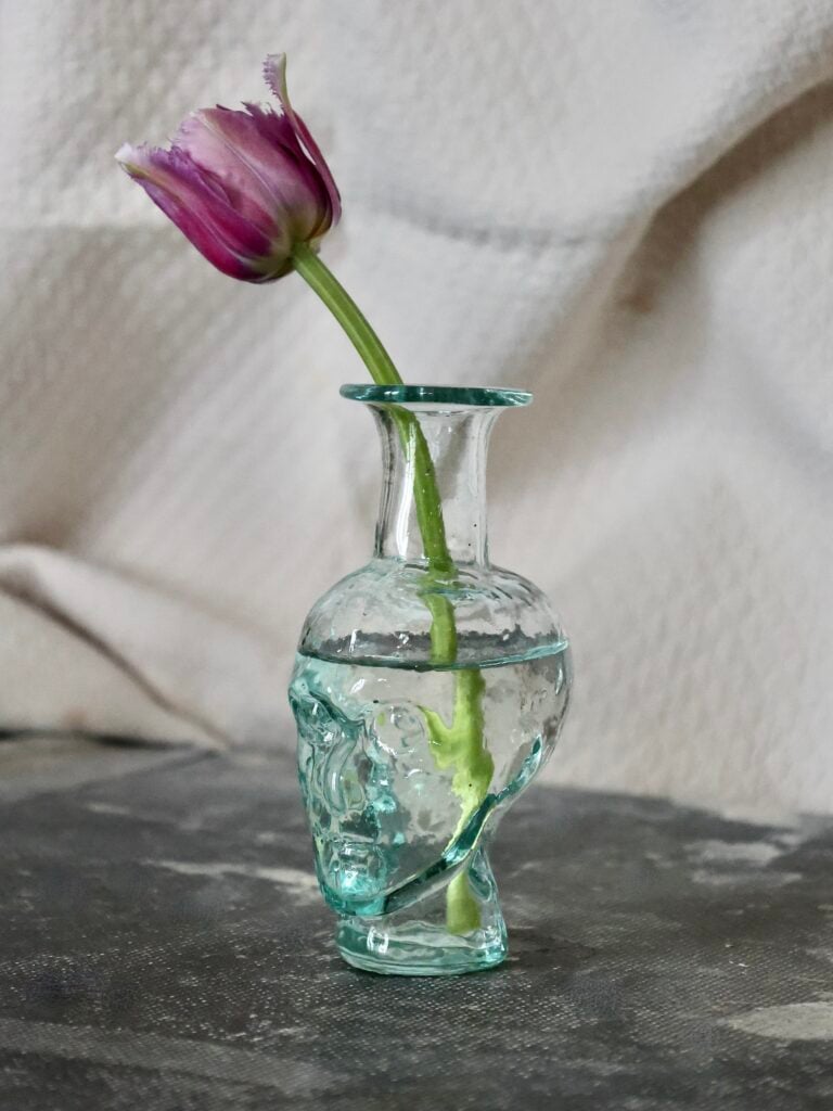the-philosopher-bud-vase-transparent-
