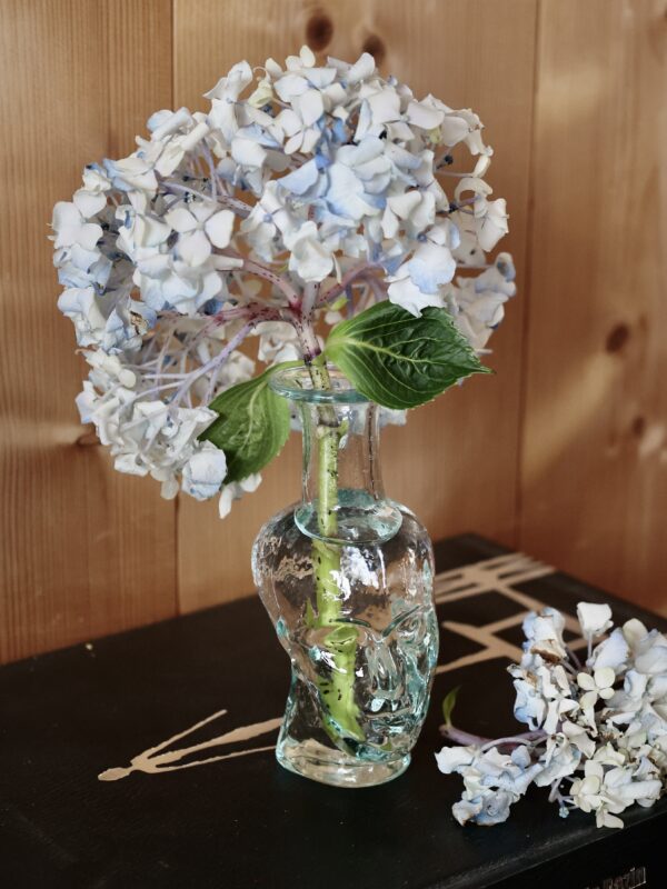 the-philosopher-bud-vase-transparent-head-bud-vases-mouth-blown-recycled-glass