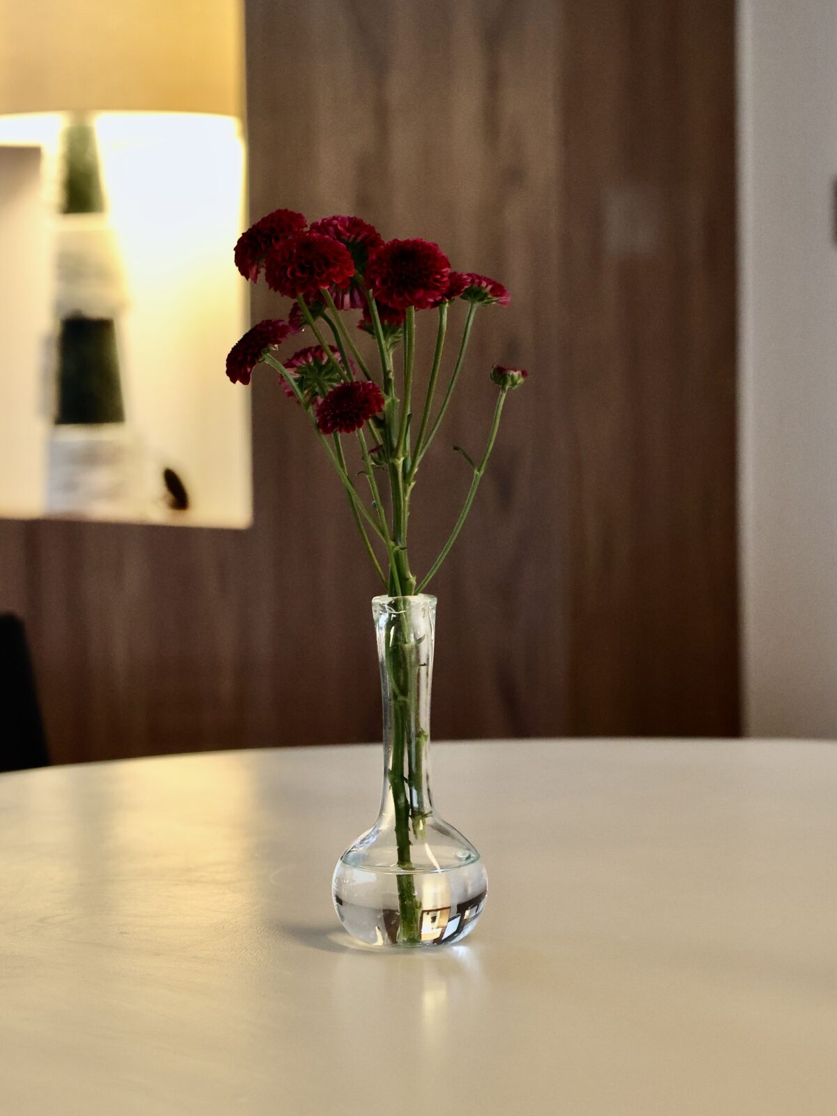 sam-small-transparent-bud-vases-mouth-blown-recycled-glass