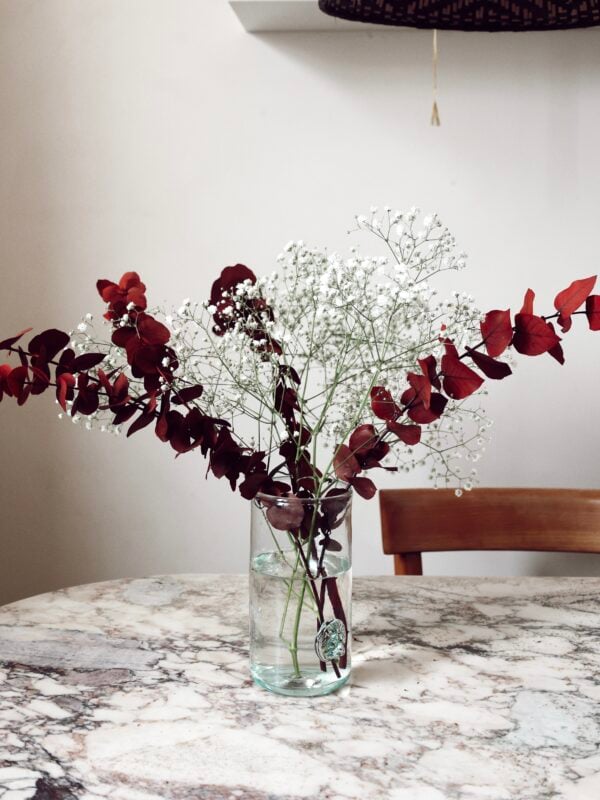 Vase Lion Transparent