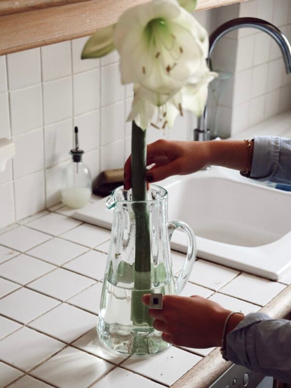 Carafe Lily Transparent