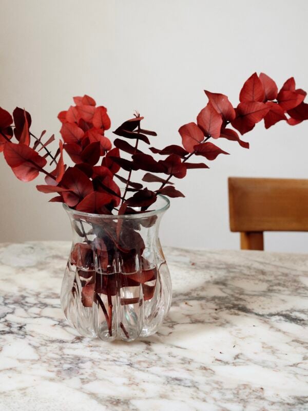 Lily Vase Transparent